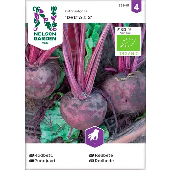 Rödbeta Organic 1-p Nelson Garden.