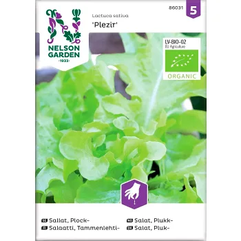 Sallat Plock Plezir Organic 1-p Nelson Garden.