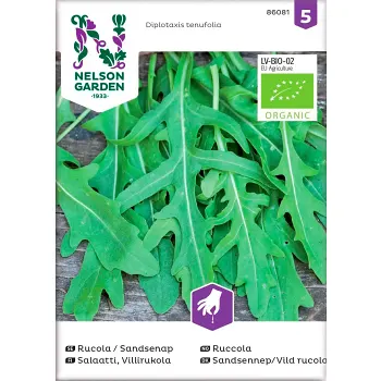 Ruccola Sandsenap Organic 1-p Nelson Garden.