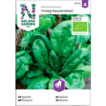 Spenat Vroeg Reuzenblad Organic 1-p Nelson Garden.