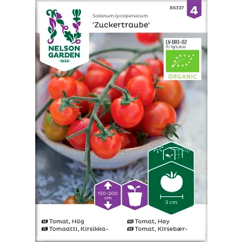Tomat Körsbär Organic 1-p Nelson Garden.
