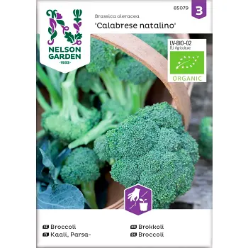 Broccoli Calabrese Natalino 1-p Nelson Garden.