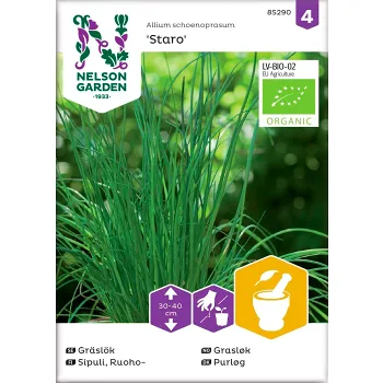 Gräslök Organic 1-p Nelson Garden.