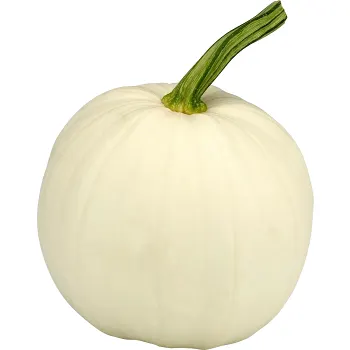 Pumpa Vit ca 4kg Klass 1 ICA.