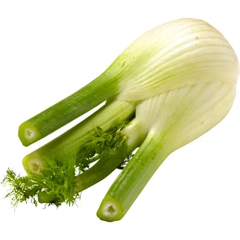 Fänkål ca 300g Klass 1 ICA.