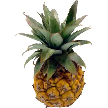 Ananas Mini ca 310 Klass 1 ICA.