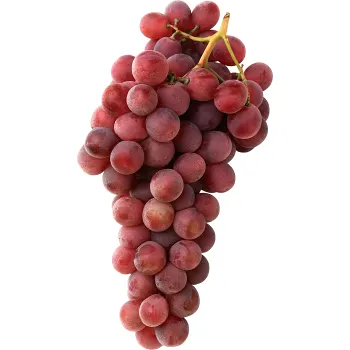 Druva Röd/blå Klass 1 ICA.