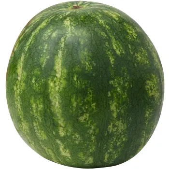 Vattenmelon Mini ca 1,95kg Klass 1 ICA.