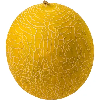 Nätmelon ca 1,4kg Klass 1 ICA.