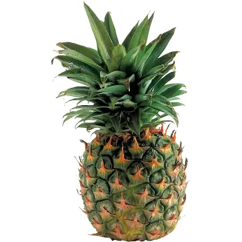Ananas Extra Sweet ca 950g Klass 1 ICA.