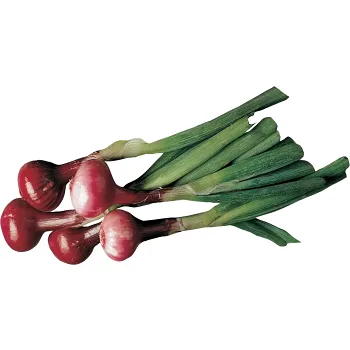 Lök Röd knippe ca 200g Klass 1 ICA.