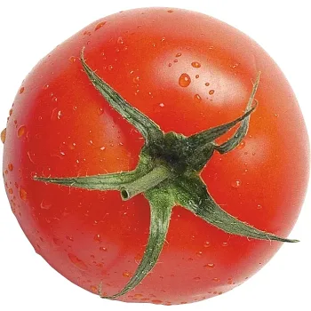 Tomat rund ca 90g Klass 1.