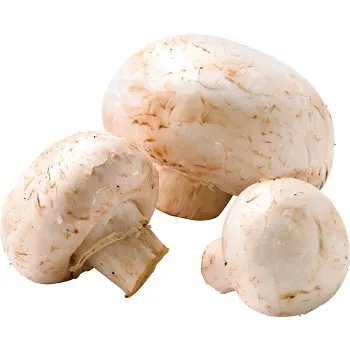 Champinjon ca 50g Klass 1 ICA.