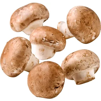 Kastanjechampinjon ca 15g Klass 1 ICA.