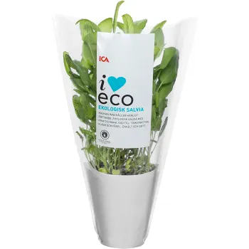 Salvia 460g ICA I love eco Klass 1.