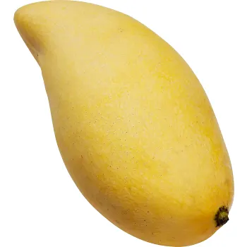 Mango gul Klass 1 ICA.