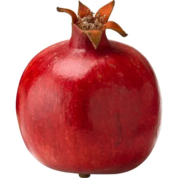 Granatäpple lv.