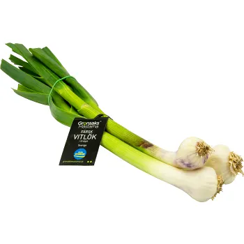Färsk Vitlök 100g Klass 1.
