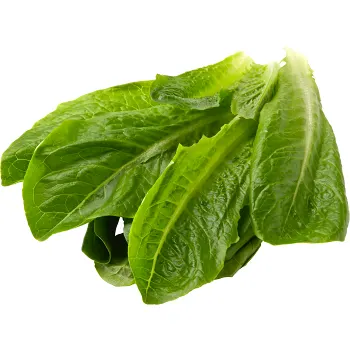 Romansallad 250g Ekologisk Klass 1 ICA.