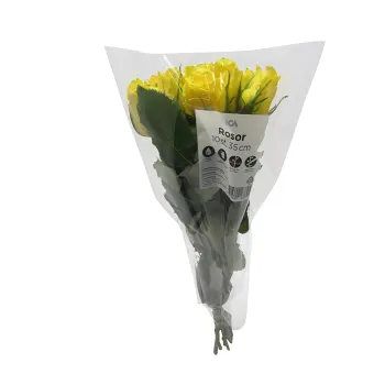 Rosor 10-p 35cm gula ICA.