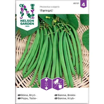 Böna Bryt Ferrari 1-p Nelson Garden.