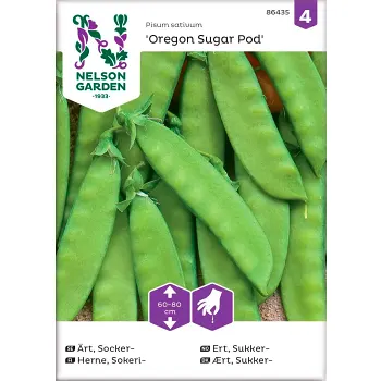 Ärt Socker Oregon Sugar Pod 1-p Nelson Garden.