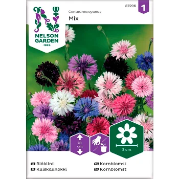 Blåklint Blandade färger Hög 1-p Nelson Garden.