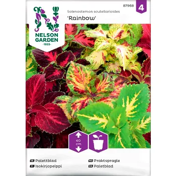 Palettblad Rainbow Blandade färger 1-p Nelson Garden.