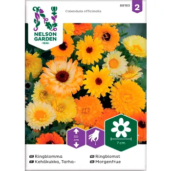 Ringblomma Blandade Färger 1-p Nelson Garden.