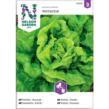 Salla Huvud Attractie 1-p Nelson Garden.