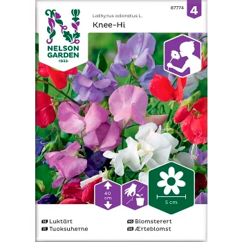 Luktärt Knee-Hi 1-p Nelson Garden.