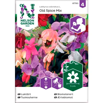 Luktärt Gammeldags Old Spice Mix 1-p Nelson Garden.