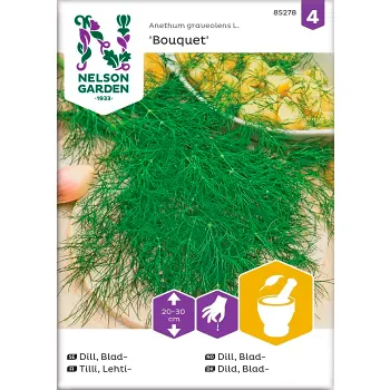 Dill Blad Bouquet 1-p Nelson Garden.