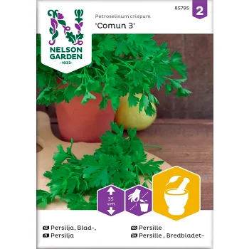 Persilja Slätbladig Comun 3 1-p Nelson Garden.