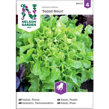 Sallad Plock Bowl Grön 1-p Nelson Garden.