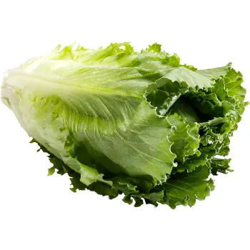 Sallat Cosmopolitan ca 250g Klass 1.