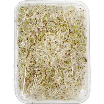 Alfalfagroddar Ekologiska 130g KRAV Klass 1.