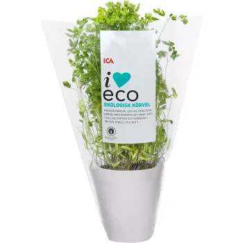 Körvel Ekologisk 1-p KRAV Klass 1 ICA I.