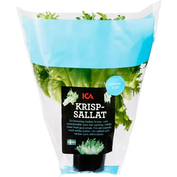 Krispsallat i kruka 1-p Klass 1 ICA.
