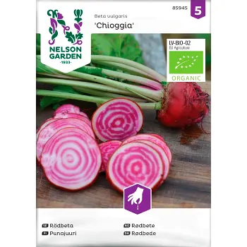 Rödbeta Chioggia Organic 1-p Nelson Garden.