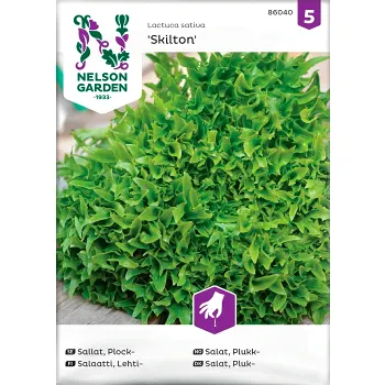 Sallat Plock Skilton 1-p Nelson Garden.
