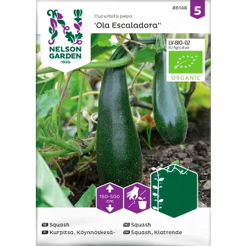 Squash Kläng Ola Escaladora 1-p Nelson Garden.