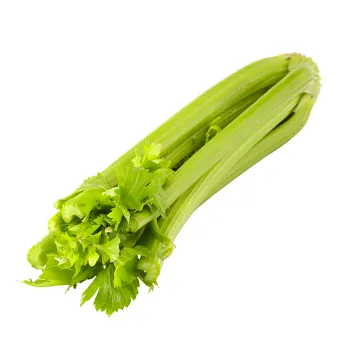 Stjälkselleri ca 200-400g Klass 1.