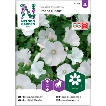 Malva Sommar Mont Blanc 1-p Nelson Garden.