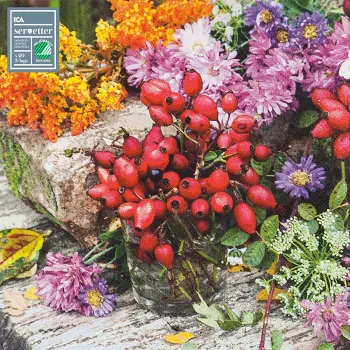 Servett 20-p 33cm Hip ICA.