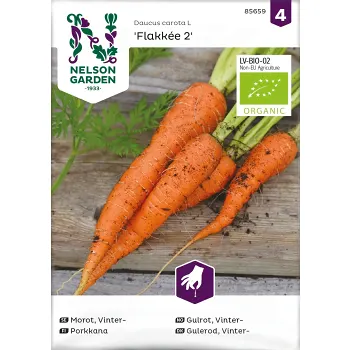 Morot, Höst Vinter, Flakkée Nelson Garden.