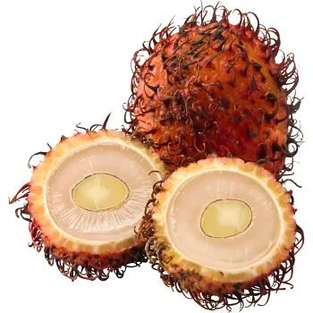 Rambutan ca 33g Klass 1 ICA.