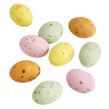 Spräckliga fågelägg.