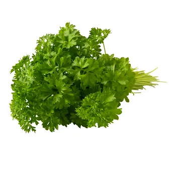 Persilja knippe ca 50g Klass 1 ICA.