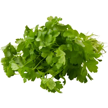 Persilja Blad ca 50g Klass 1 ICA.